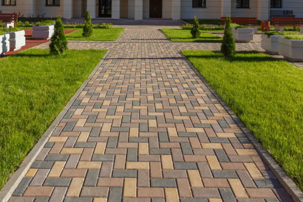 Best Driveway Paving Contractor  in Fergus Falls, MN